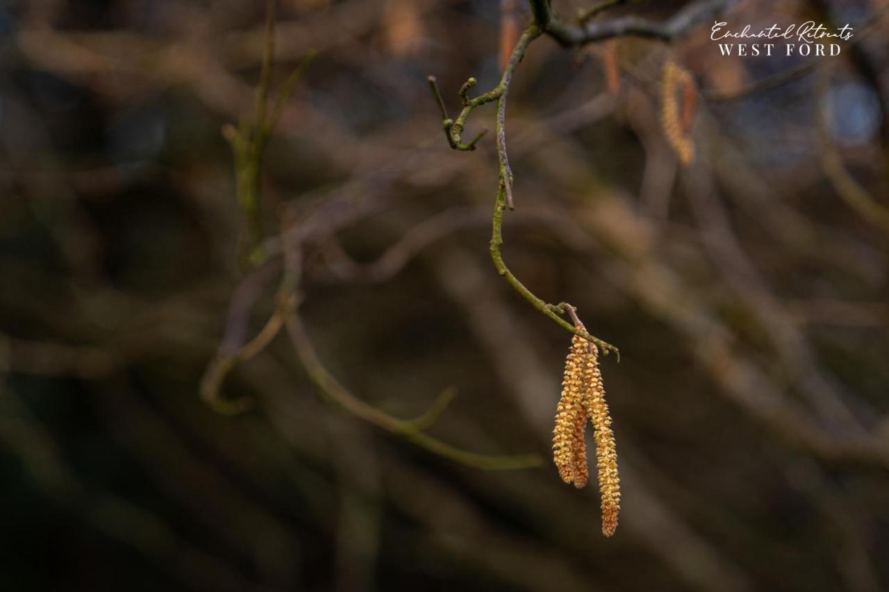 Enchanted Retreats At West Ford Devon Саут-Молтон Экстерьер фото