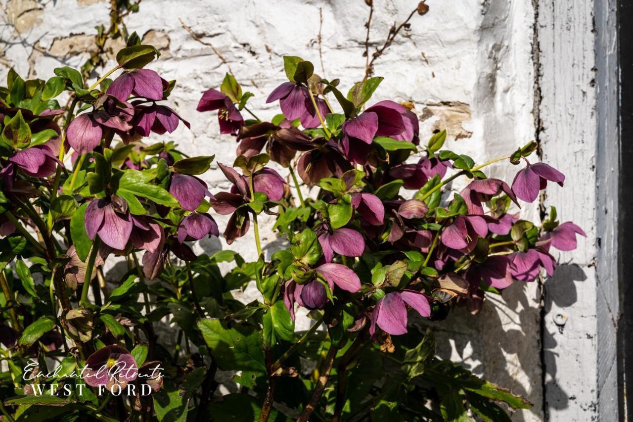Enchanted Retreats At West Ford Devon Саут-Молтон Экстерьер фото